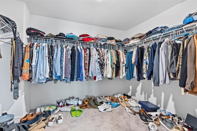13557 Willow Bluestar Loop, Riverview, FL 33579 - walk in closet with carpet floors