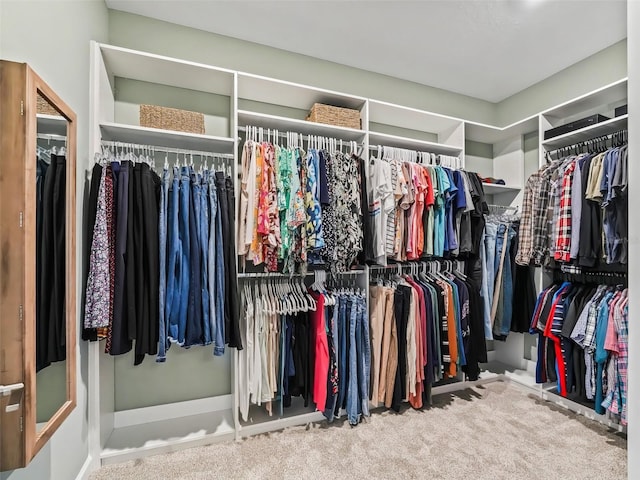 spacious closet featuring carpet