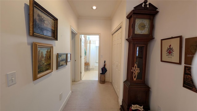 corridor with crown molding and light colored carpet