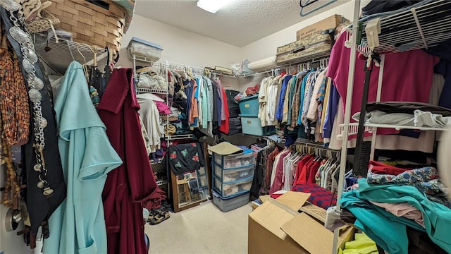 walk in closet with carpet floors