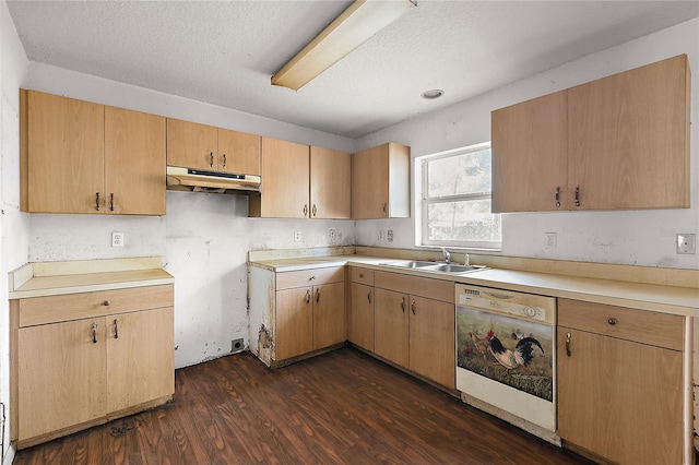 kitchen with a textured ceiling, dishwasher, light brown cabinets, sink, and dark hardwood / wood-style floors