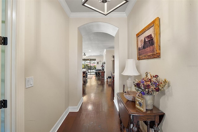 corridor featuring crown molding and dark wood-type flooring