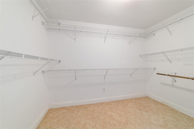 view of walk in closet