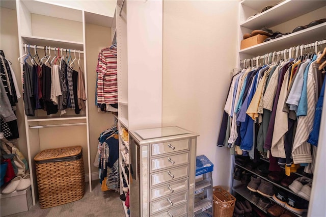 spacious closet featuring carpet flooring