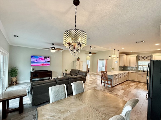 dining room with sink, a textured ceiling, light hardwood / wood-style flooring, and a healthy amount of sunlight