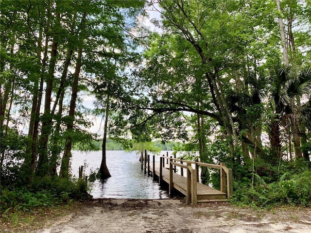 dock area with a water view