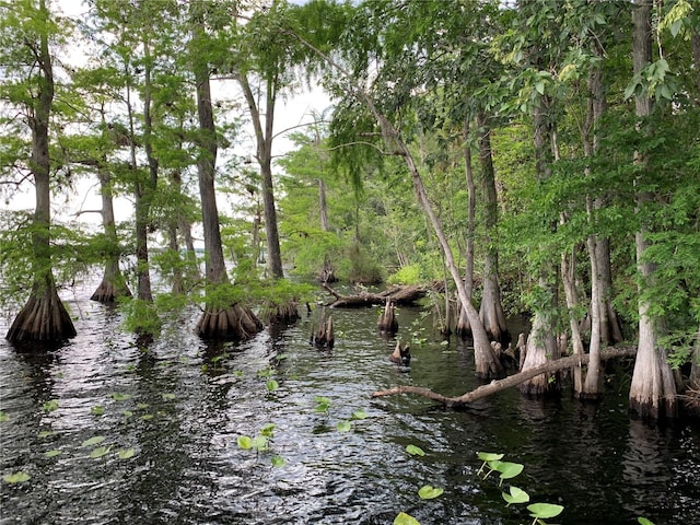 view of nature