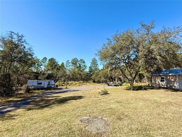 view of yard with an outdoor structure