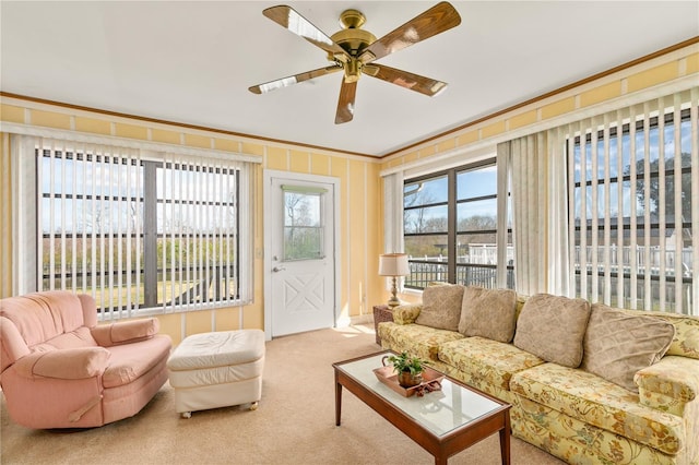 carpeted living room with crown molding and ceiling fan