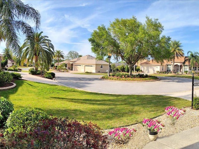 view of yard featuring a residential view