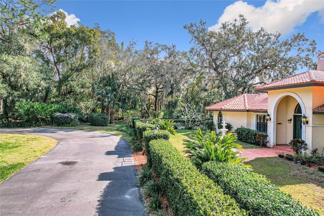1130 Elysium Blvd, Mount Dora, FL 32757 - photo 8