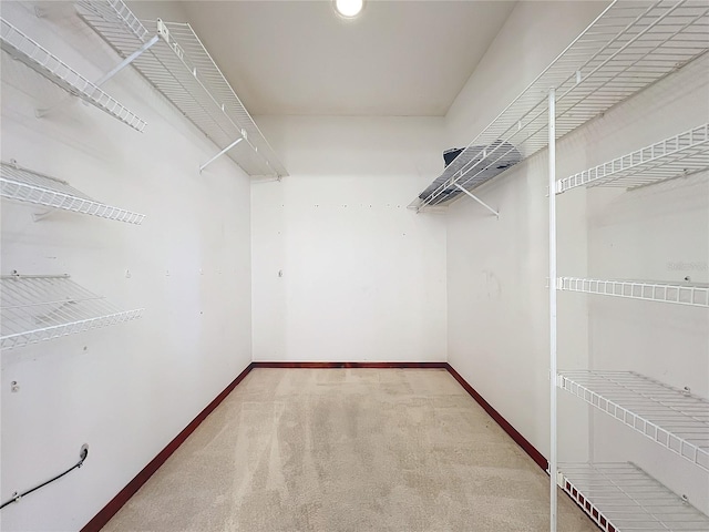1130 Elysium Blvd, Mount Dora, FL 32757 - photo 67