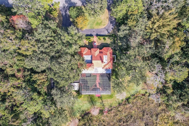 1130 Elysium Blvd, Mount Dora, FL 32757 - photo 91