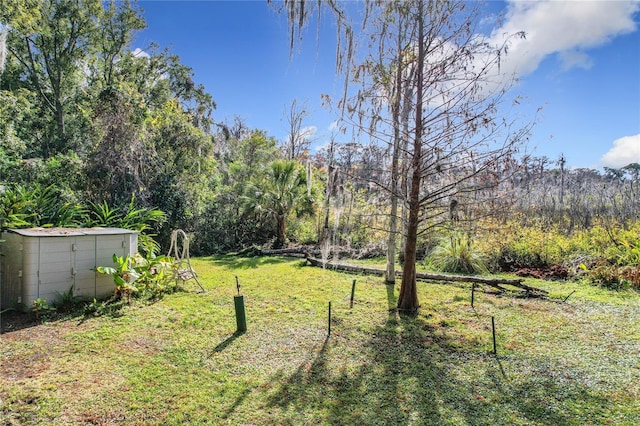 view of yard featuring a storage shed