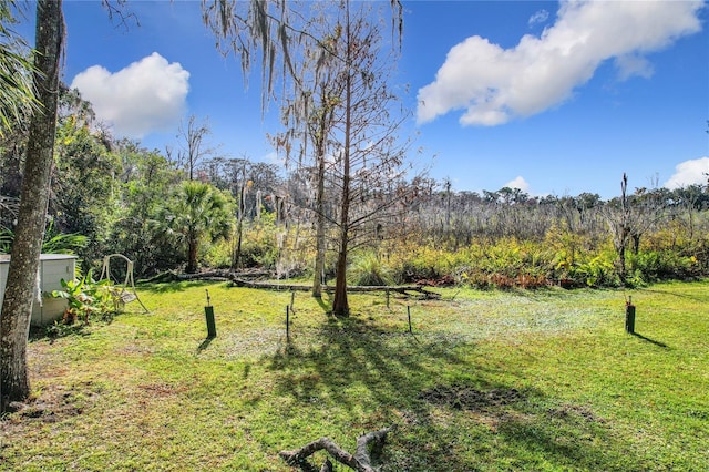 1130 Elysium Blvd, Mount Dora, FL 32757 - photo 94