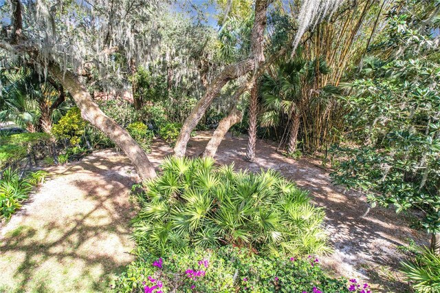 1130 Elysium Blvd, Mount Dora, FL 32757 - photo 95