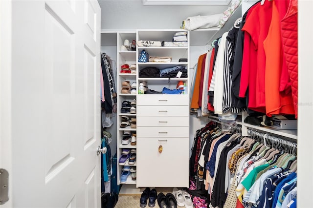 view of spacious closet