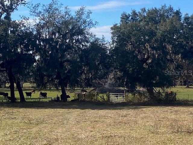 16325 Clarence Lee Rd, Groveland FL, 34736 land for sale