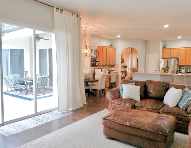 living room featuring ceiling fan and wood-type flooring