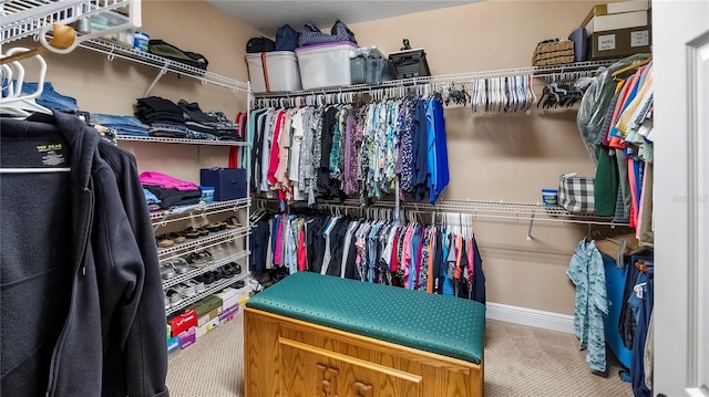 spacious closet with carpet flooring