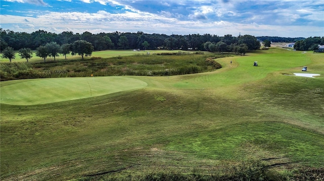 surrounding community with a lawn