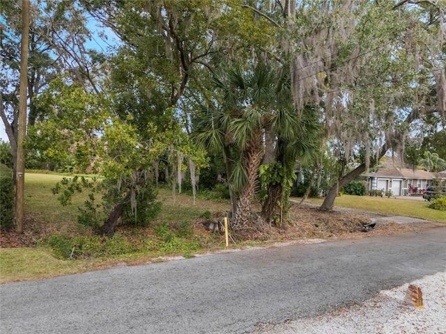 1113 Venetian Ave, Orlando, FL 32804