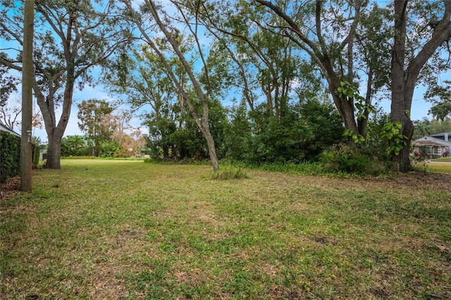 1113 Venetian Ave, Orlando, FL 32804