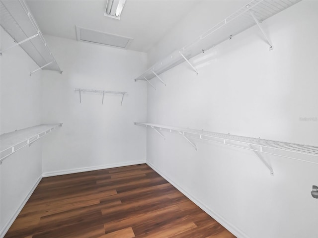 walk in closet featuring dark hardwood / wood-style flooring