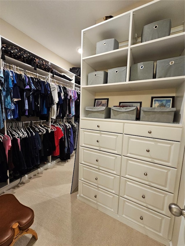 walk in closet featuring light colored carpet