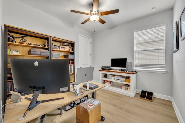 home office featuring light hardwood / wood-style floors and ceiling fan