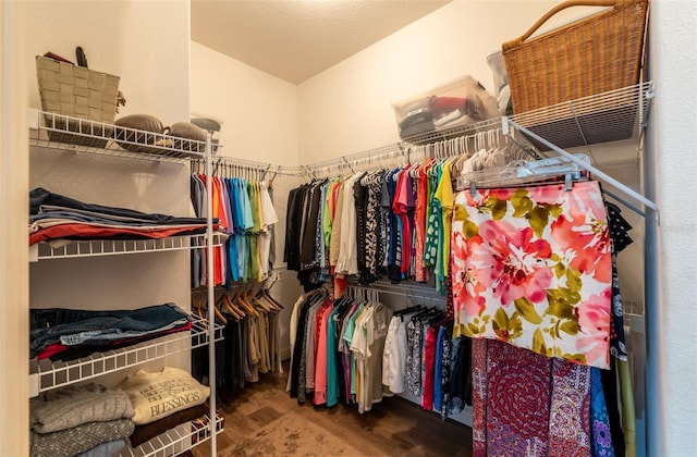 walk in closet with wood-type flooring