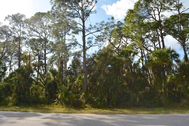 131 Collingswood Blvd, Port Charlotte FL, 33954 land for sale