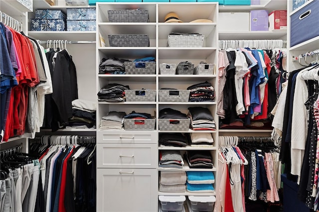 view of spacious closet