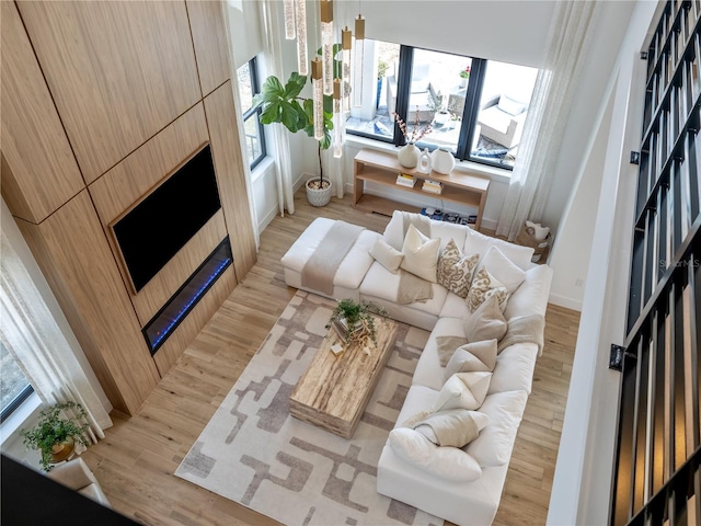 living room featuring light hardwood / wood-style floors