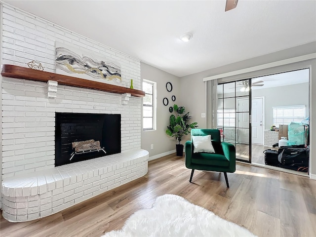 living area with a fireplace, a wealth of natural light, ceiling fan, and light wood-type flooring