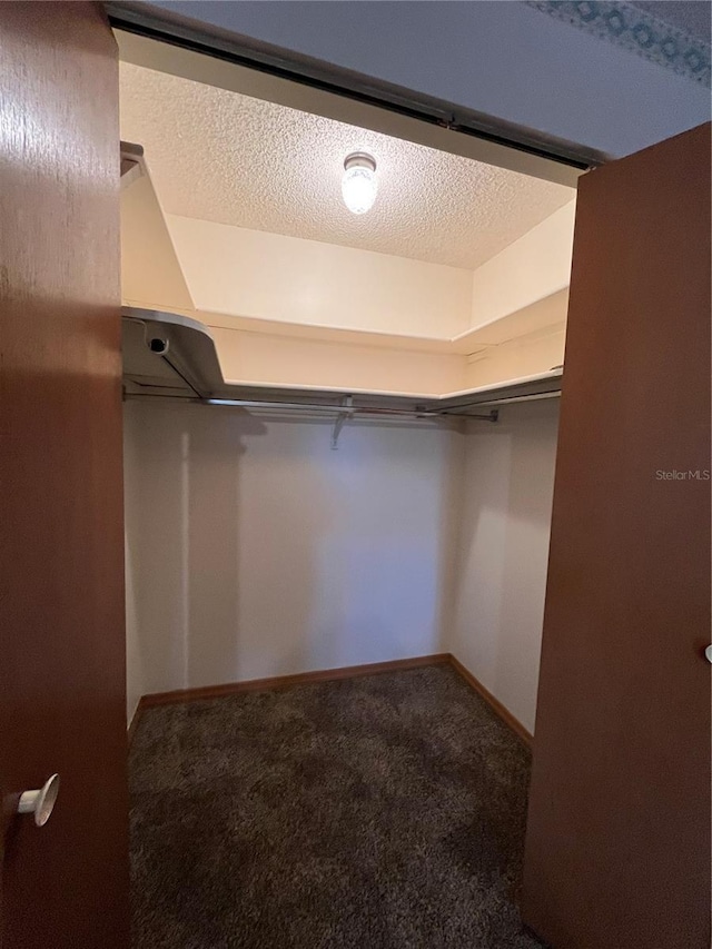 walk in closet with carpet flooring