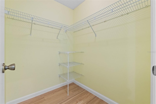 walk in closet featuring hardwood / wood-style floors