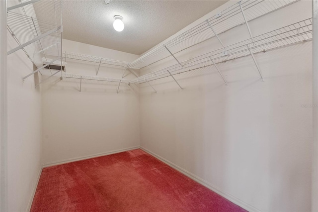 spacious closet with carpet