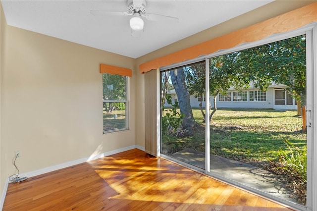 entryway featuring ceiling fan and hardwood / wood-style floors