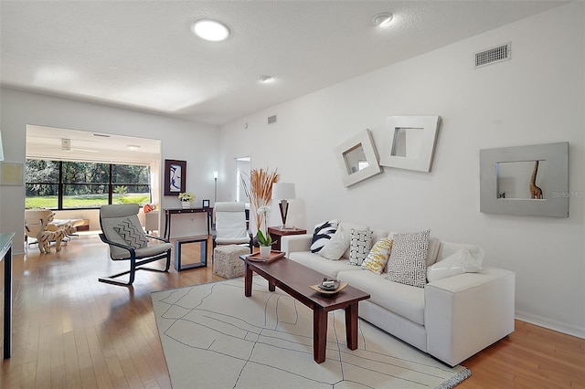 living room featuring light hardwood / wood-style flooring