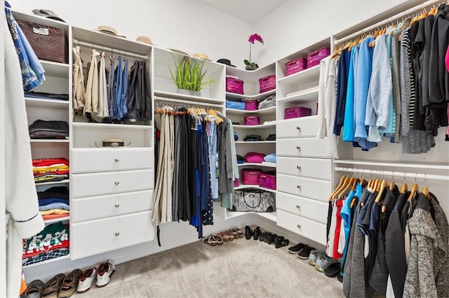 spacious closet featuring light carpet