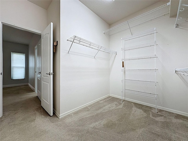 spacious closet with carpet floors