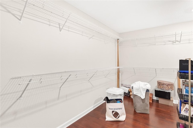 spacious closet with dark wood-type flooring