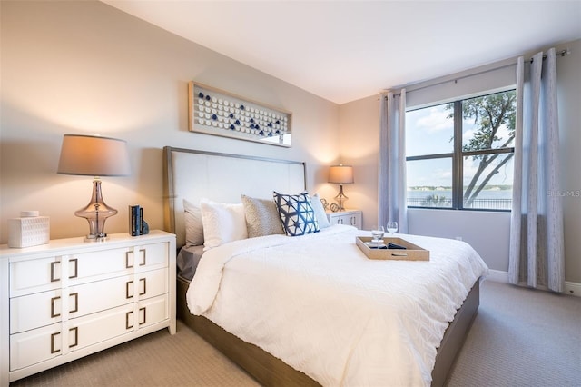 bedroom with carpet flooring