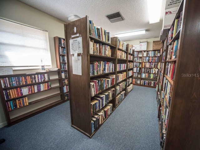 interior space with a textured ceiling and carpet flooring