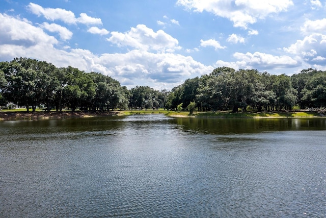 view of water feature