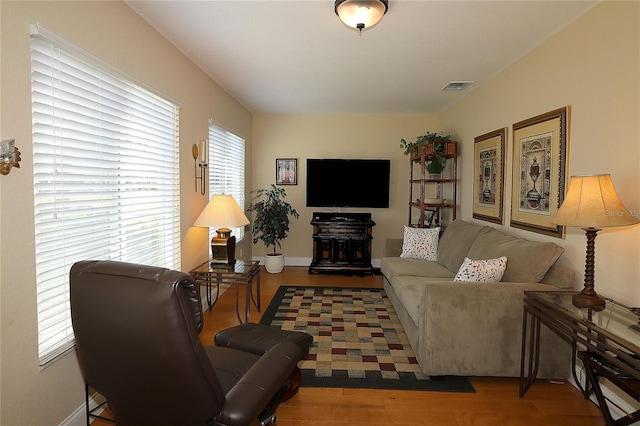 living room featuring hardwood / wood-style floors