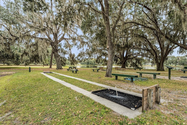 view of home's community with a yard