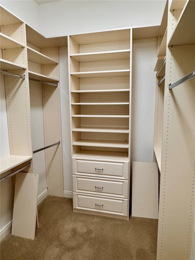 walk in closet with carpet floors