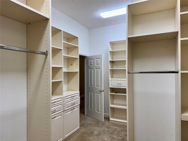 spacious closet featuring light carpet